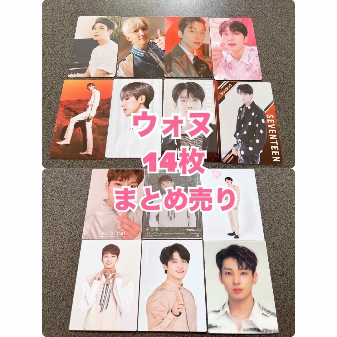 ウォヌうちわまとめて売りセットwonwoo seventeen セブチ