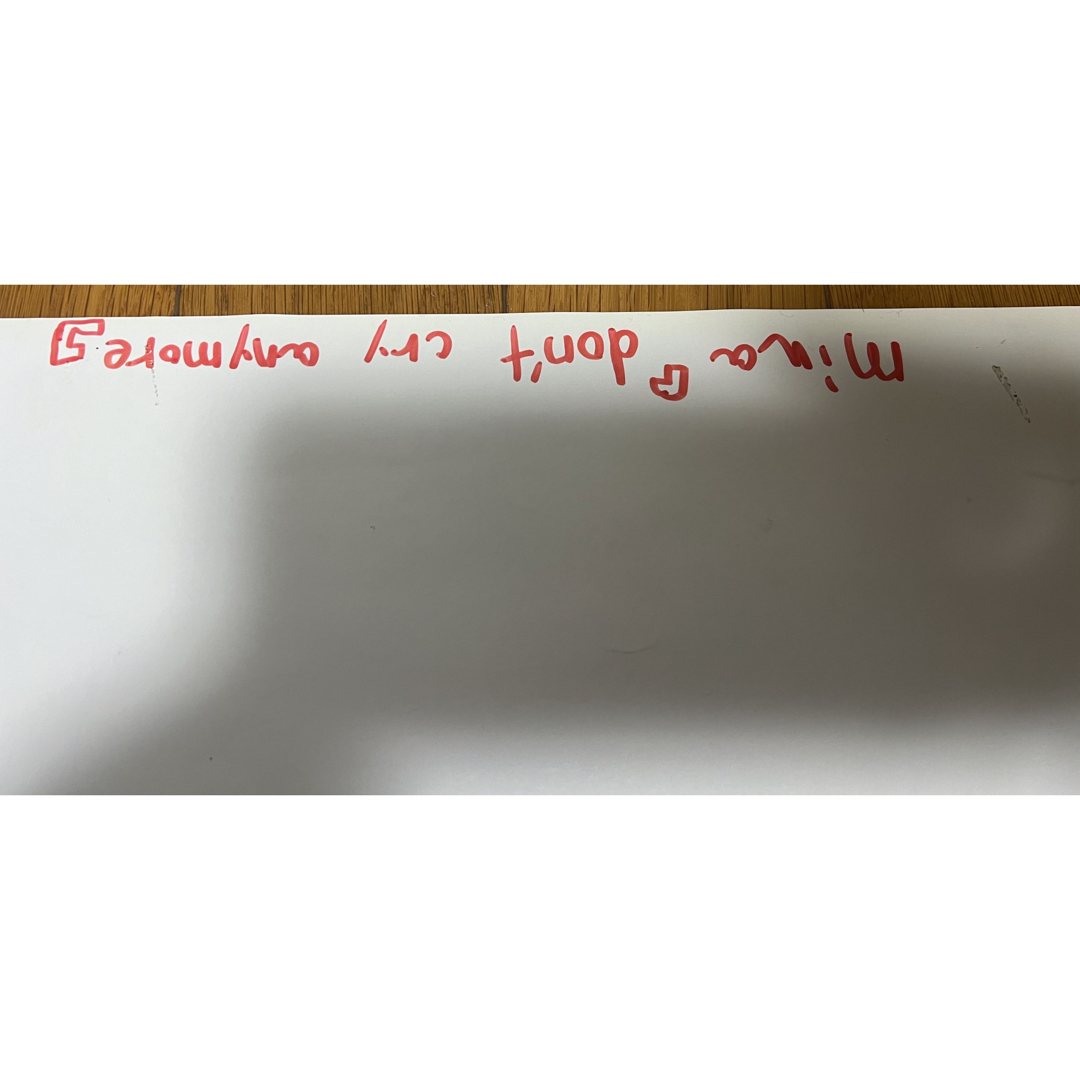 miwa don't cry anymoreポスターの通販 by DQ-shop｜ラクマ