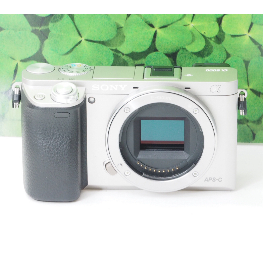 SONY - 【美品】Wifi搭載❤️軽量 ソニーα6000 2420万画素ダブルレンズ