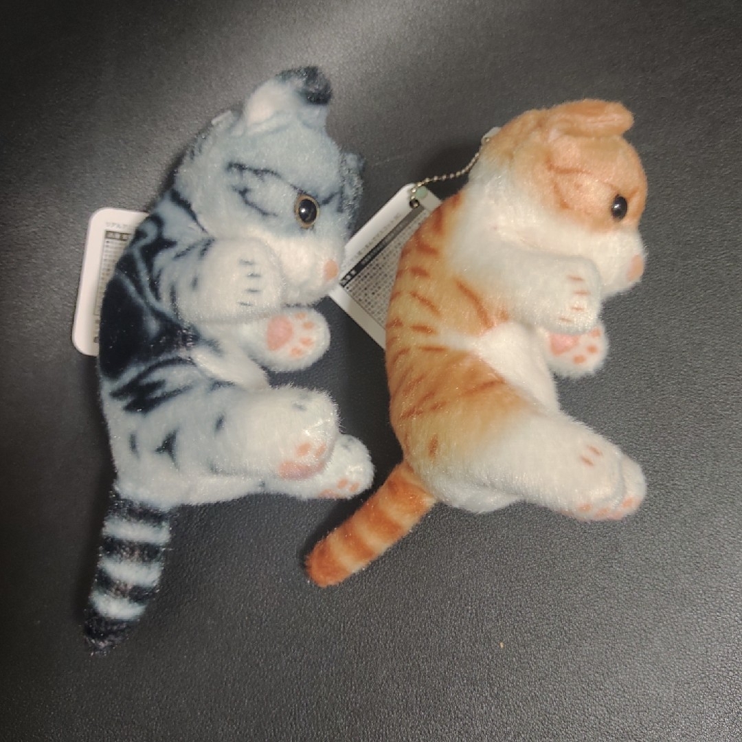 リアル猫 リアルアニマル猫つまんでマスコットBC 猫ぬいぐるみ 2個