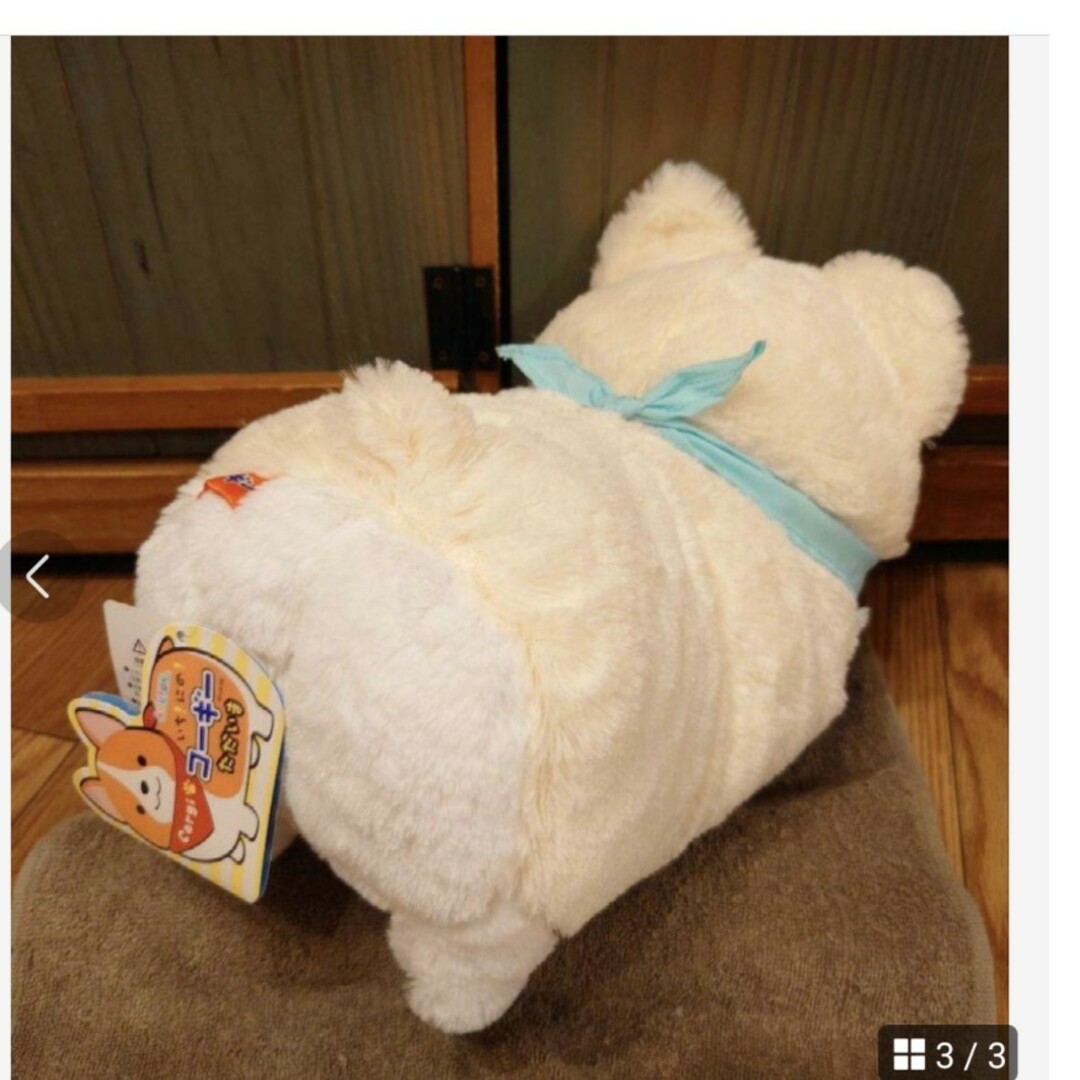 いち！にの！コーギー ただいま むぎちゃん JB