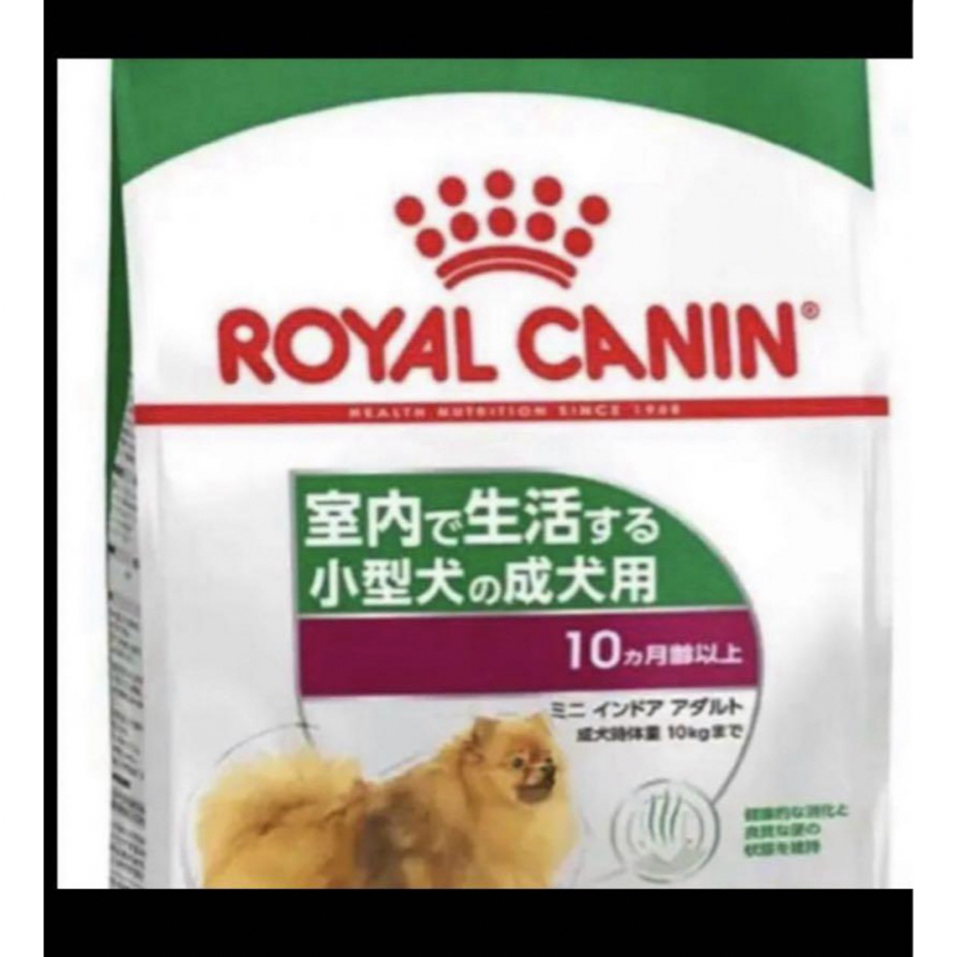 ROYAL CANIN ミニ インドア アダルト 10kg ロイヤルカナン ミニ