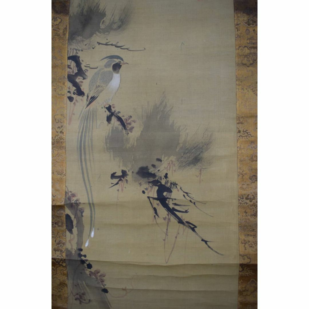 真作/谷文晁/写山楼/老松寿帯鳥図/尾長鳥図/掛軸