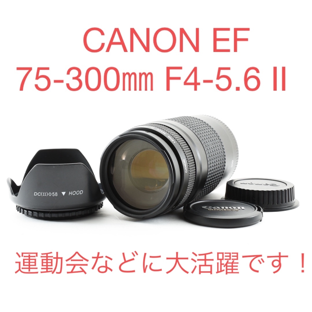 イベント/運動会/キャノン/Canon EF75-300㎜ F4-5.6 II 【公式通販】