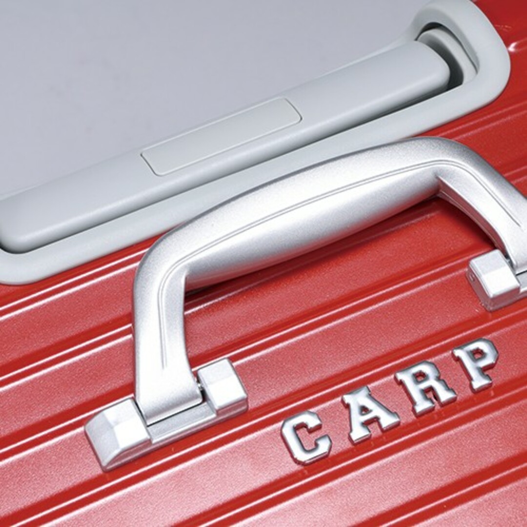 広島東洋カープパイロットケースCARP