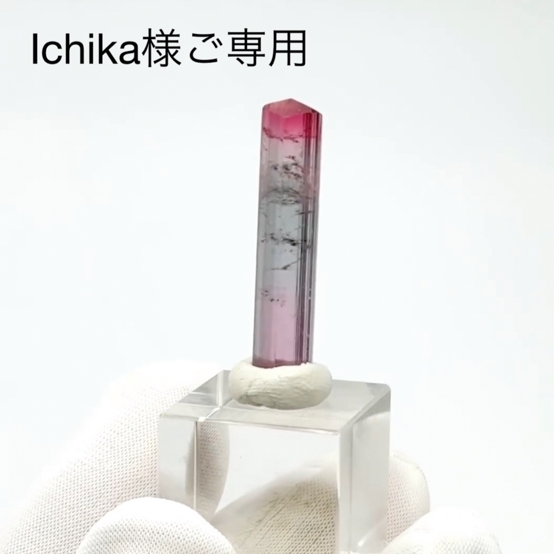 ICHIKA様専用 卸売 ichika様専用 ICHIKA様専用ページ - メルカリ