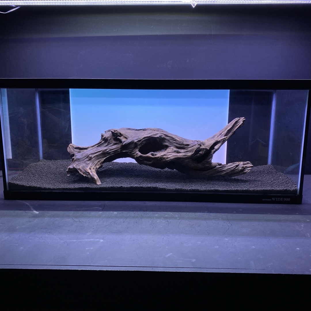 MJW-6617 ジンジャーウッド 天然流木 アクアリウム 爬虫類 MJW-6998