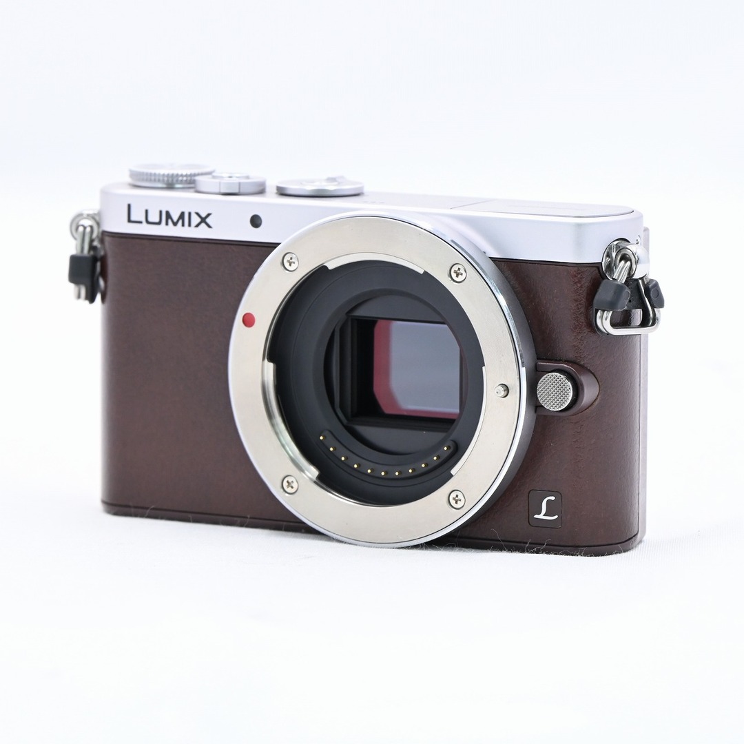 限定価格！LUMIX DMC-GM1S ブラウン 付属品たくさんお得セット