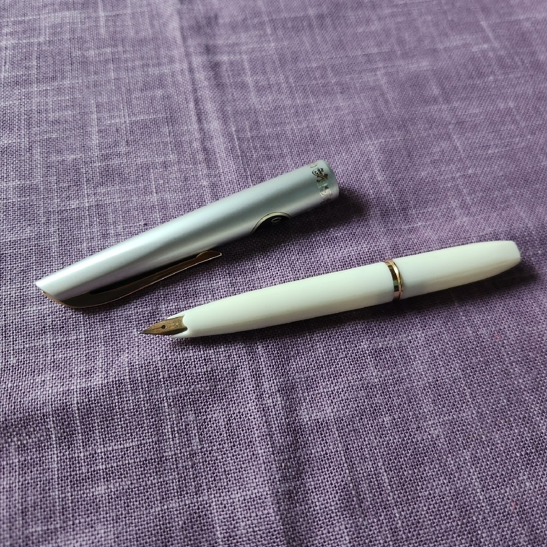 プラチナ PLATINUM 万年筆 ポケット 14K レトロ バイカラー 白.の通販