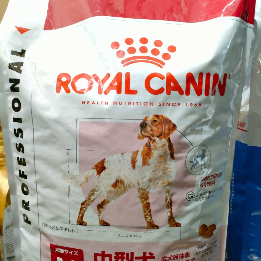 ROYAL CANIN 柴犬用 ドライフード 8kg ロイヤルカナン 柴犬