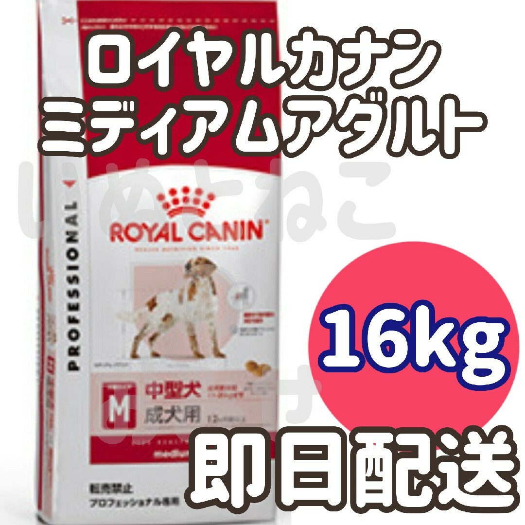 16kg】ロイヤルカナン ミディアムアダルト 人気 中型犬成犬用