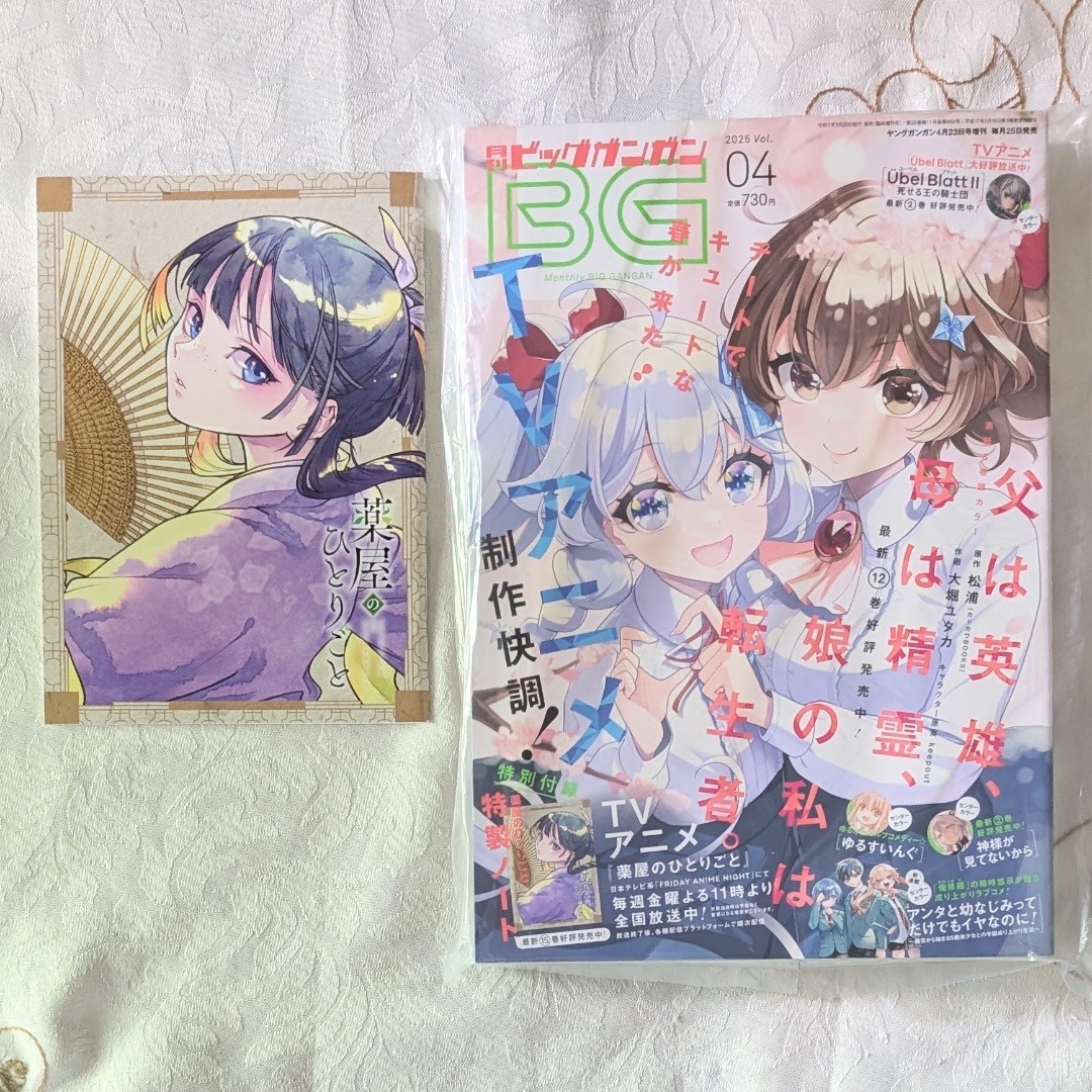 薬屋のひとりごと BG雑誌付録セット ねこクラゲ クリアファイル マスク