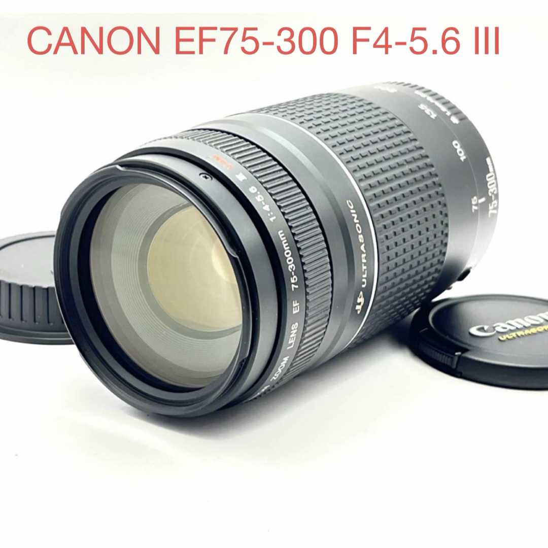 スポーツ☆イベント☆CANON EF 75-300㎜F4-5.6 III USM 【公式通販】