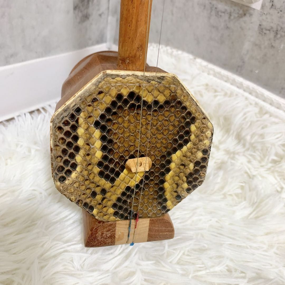 希少 ✨ 二胡 龍頭 竜頭 弦楽器 民族楽器 ケース付 蛇革 天然素材