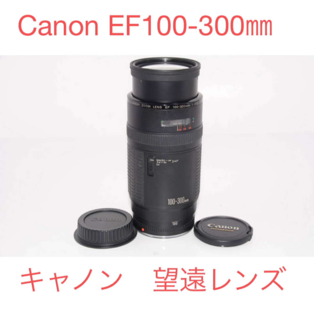 キャノン 一眼レフカメラ対応/Canon EF100-300㎜超望遠レンズセット