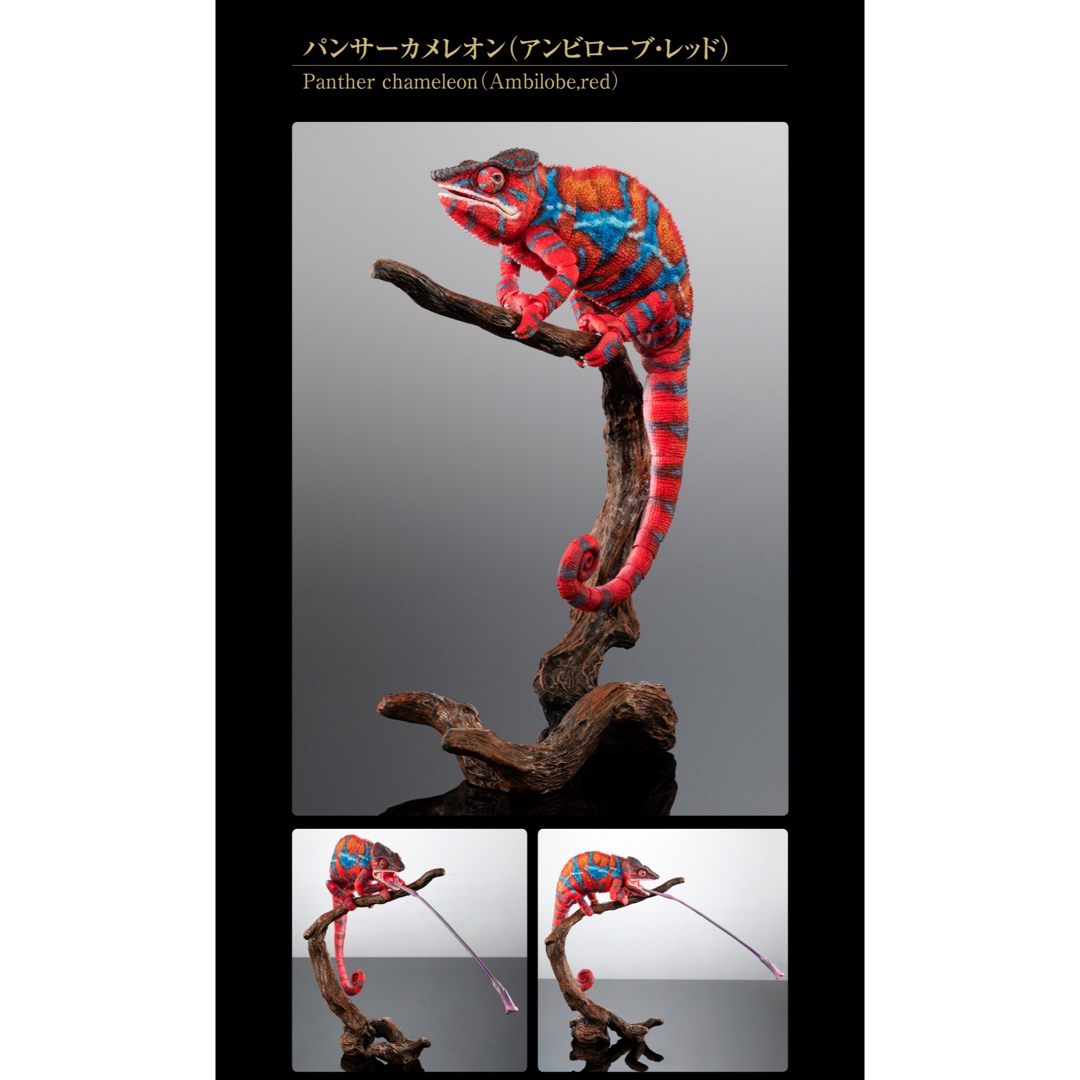 いきもの大図鑑プレミアム パンサーカメレオン アンビローブ グリーン