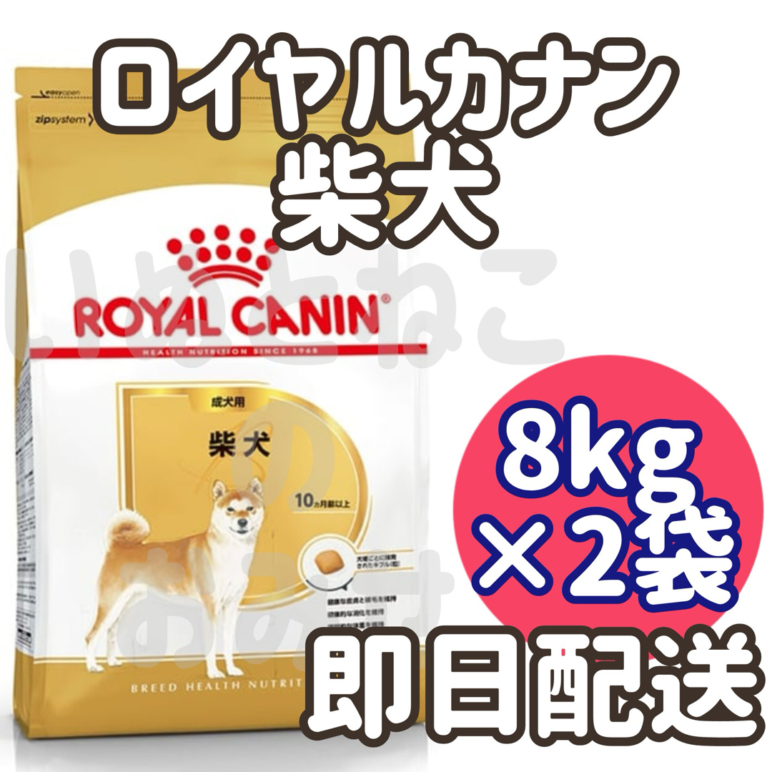 ロイヤルカナン 柴犬成犬用 8kgX 2個セット 【公式通販】