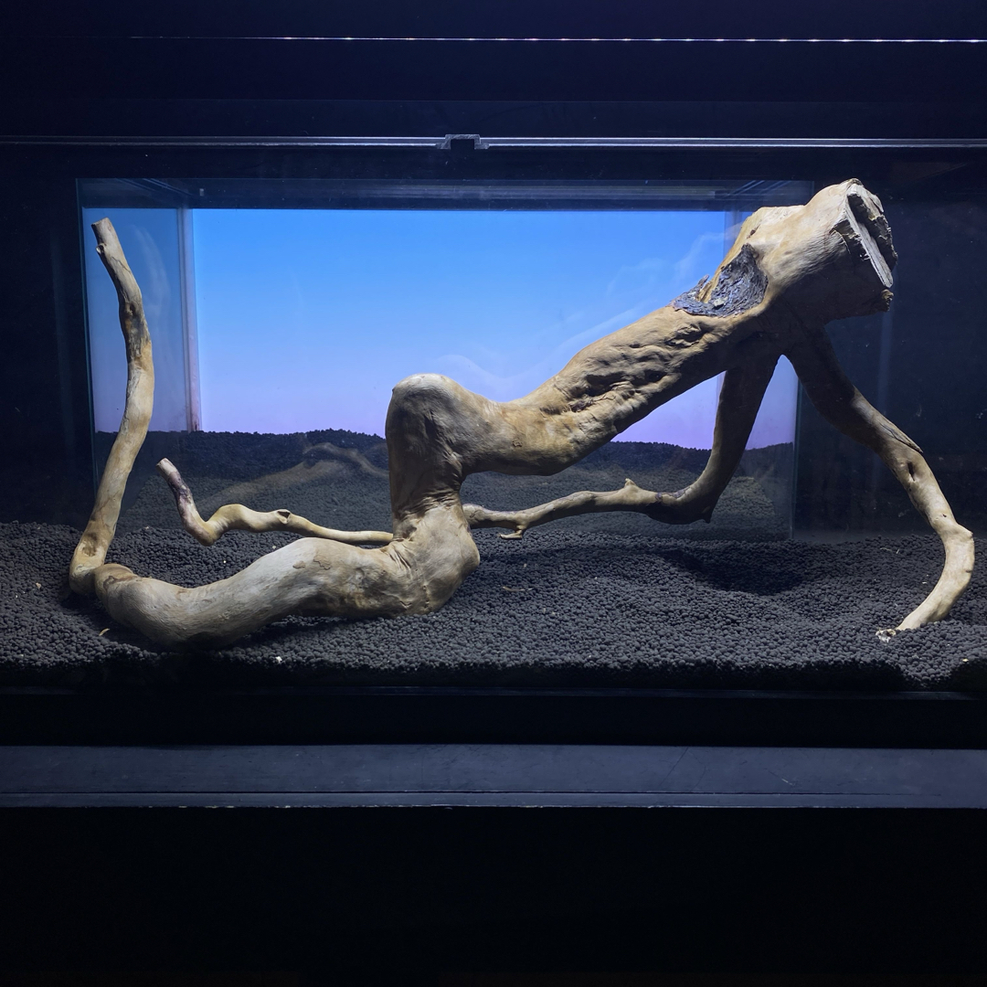 MRW-6371 特大流木1点物自立90cm水槽用アクアリウム爬虫類