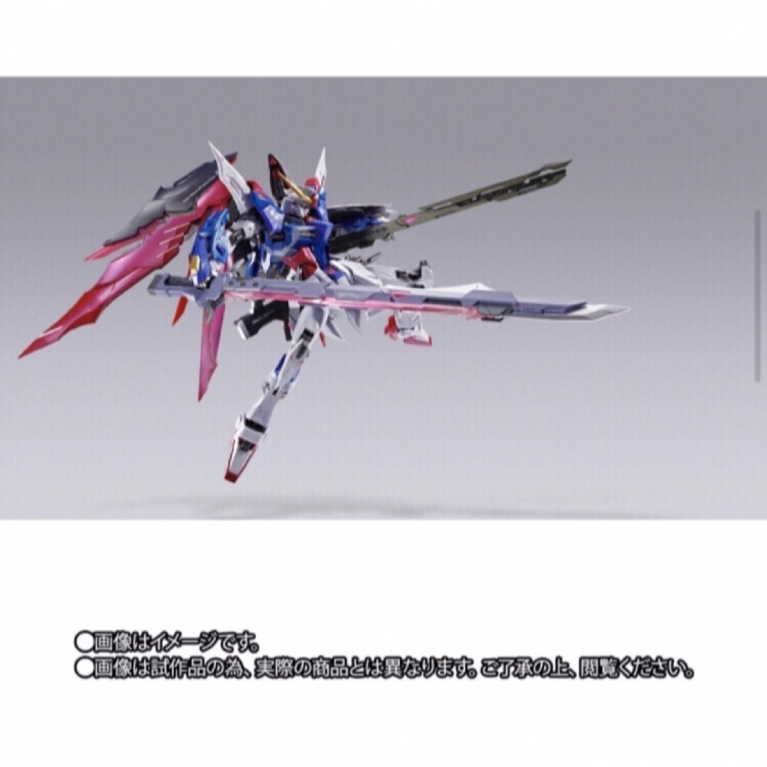 L BUILD デスティニーガンダム フルパッケージ2024 【公式通販】