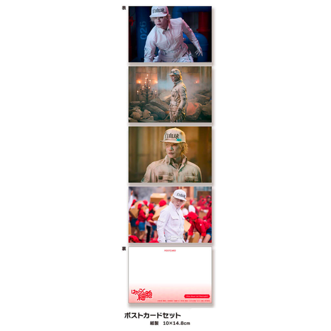 佐藤健ポストカード 佐藤健 神木隆之介 ポストカードブック -miyagi