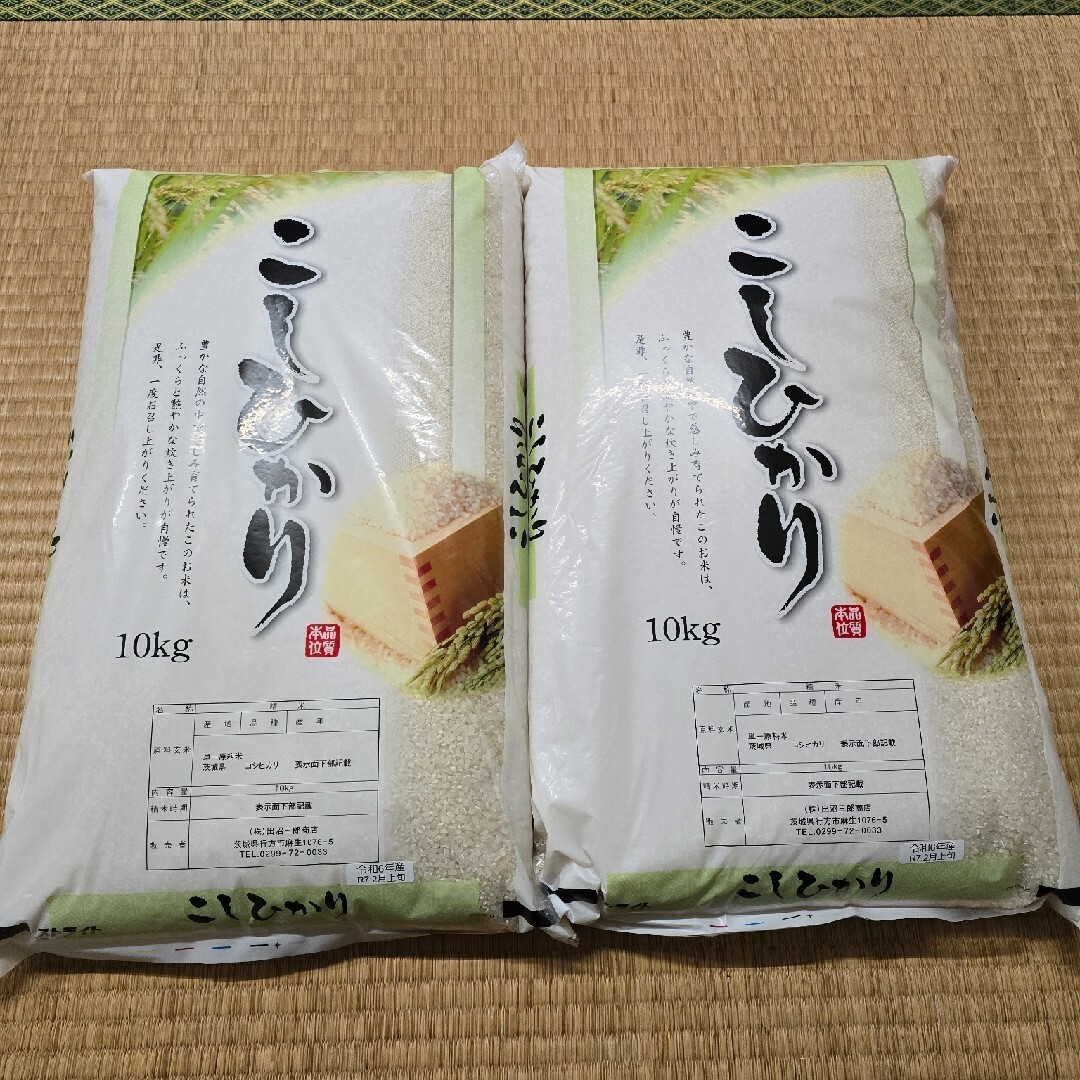 全知 コンフェッティFOIL コレクション 日本語 1枚