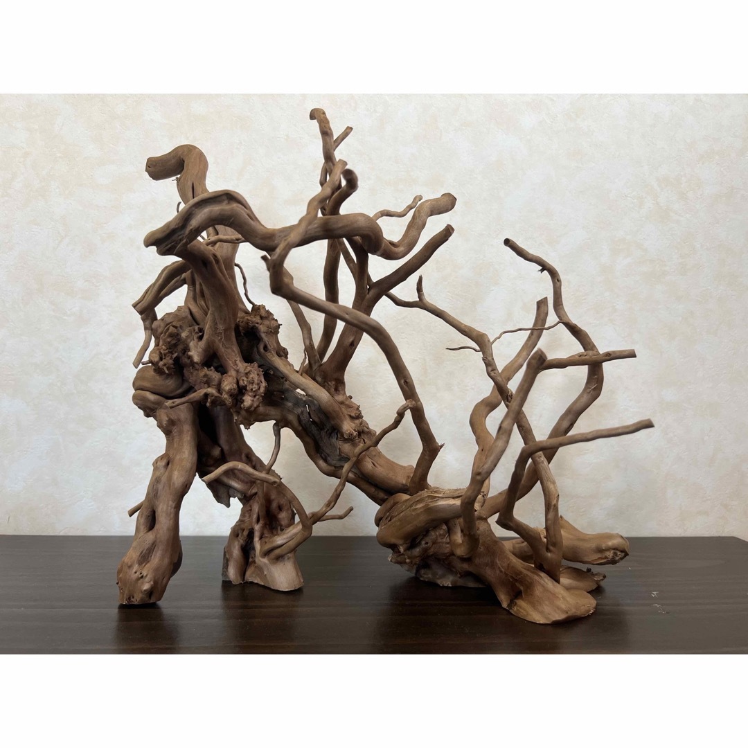 13004 ブランチウッド 流木 アクアリウム 沈水確認済 ペット用品