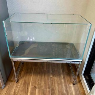 Aqua Design Amano - ADA APグラス ガラス製給餌器の通販 by ぽた's