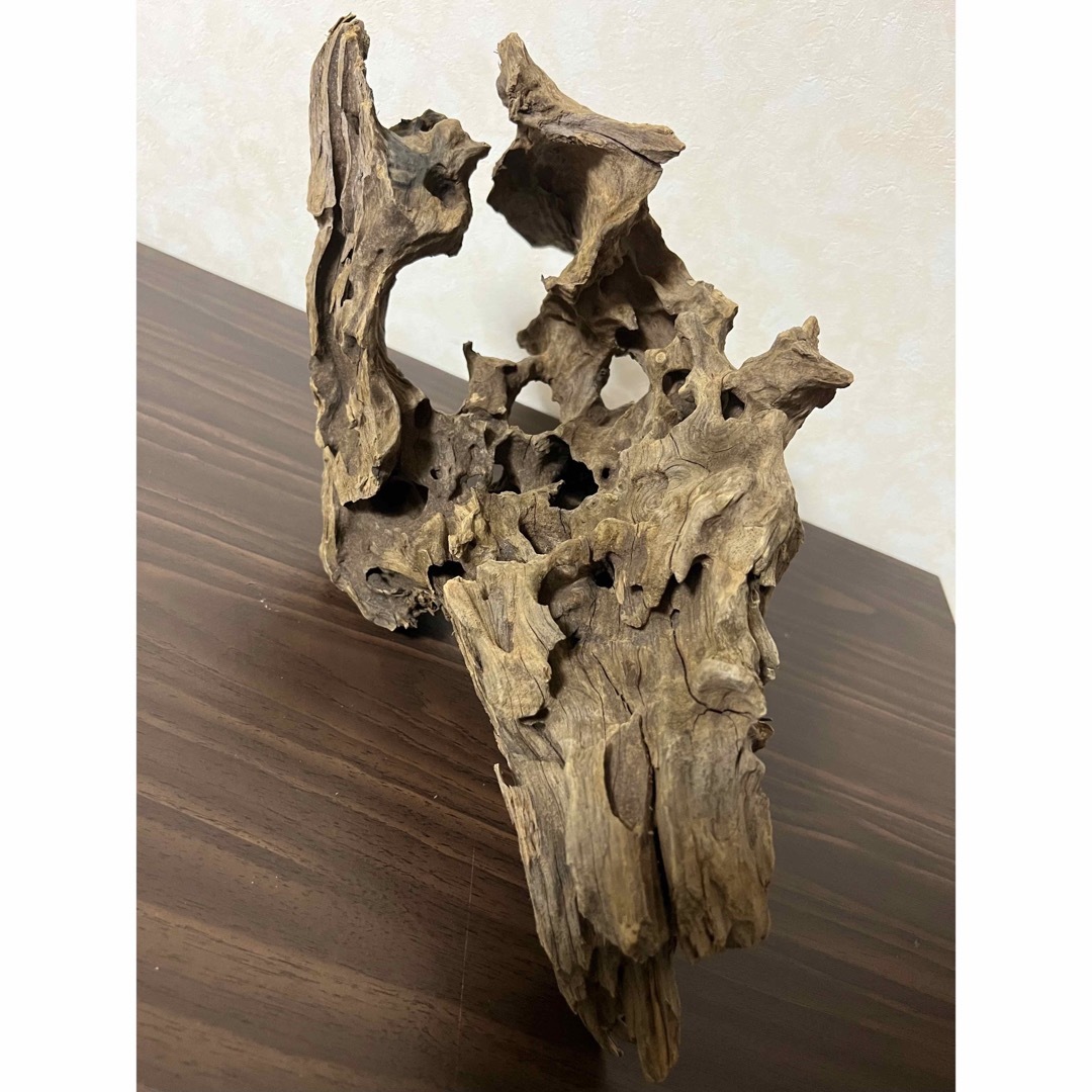 XM-122)流木マシンガンウッドアクアリウムブランチウッド沈水確認済