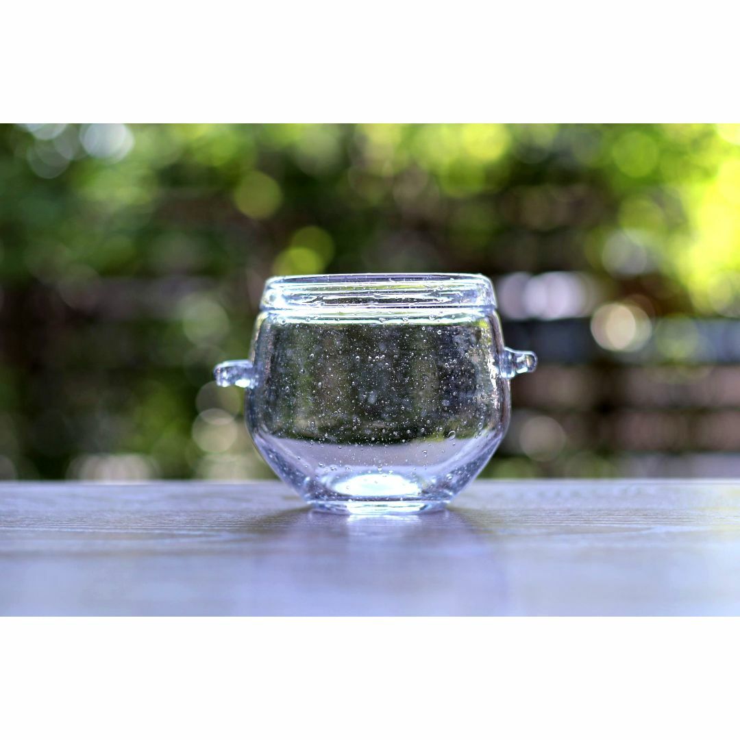 Erik Hoglund エリックホグラン ガラスボウル 85718 Erik Hoglund