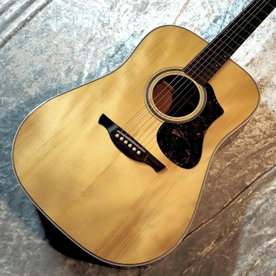 HISTORY（ヒストリー）/ NT-L4/2024 Vintage Natural エレアコギター