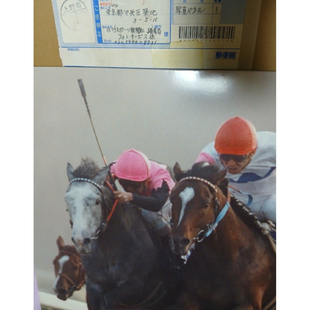 トウカイテイオー 競馬写真パネル復活優勝.ビワハヤヒデ有馬記念JRA