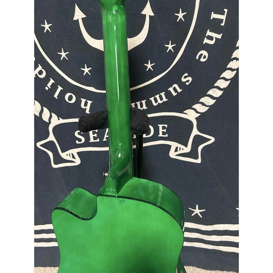 今月末迄特価❣️新品未使用グリーン タイガーグラフィック