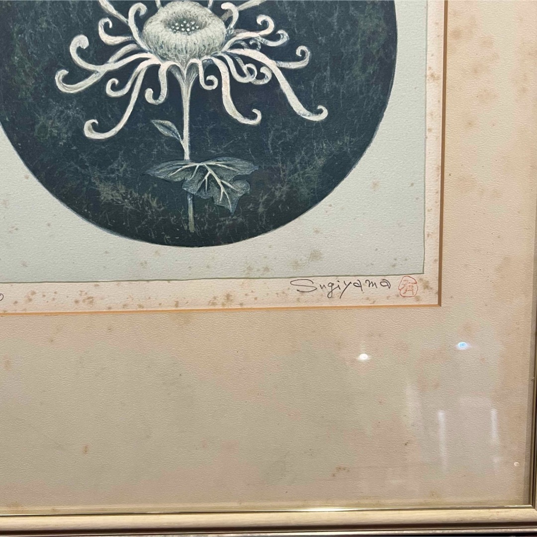 杉山有 リトグラフ 菊 4/50 Sugiyamayu