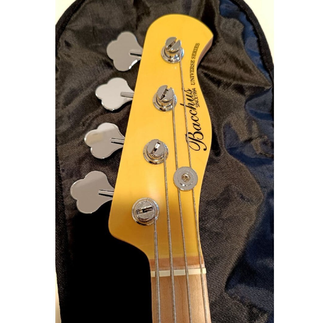 人気のPJタイプのテレキャスベース 人気のPJタイプのテレキャスベース