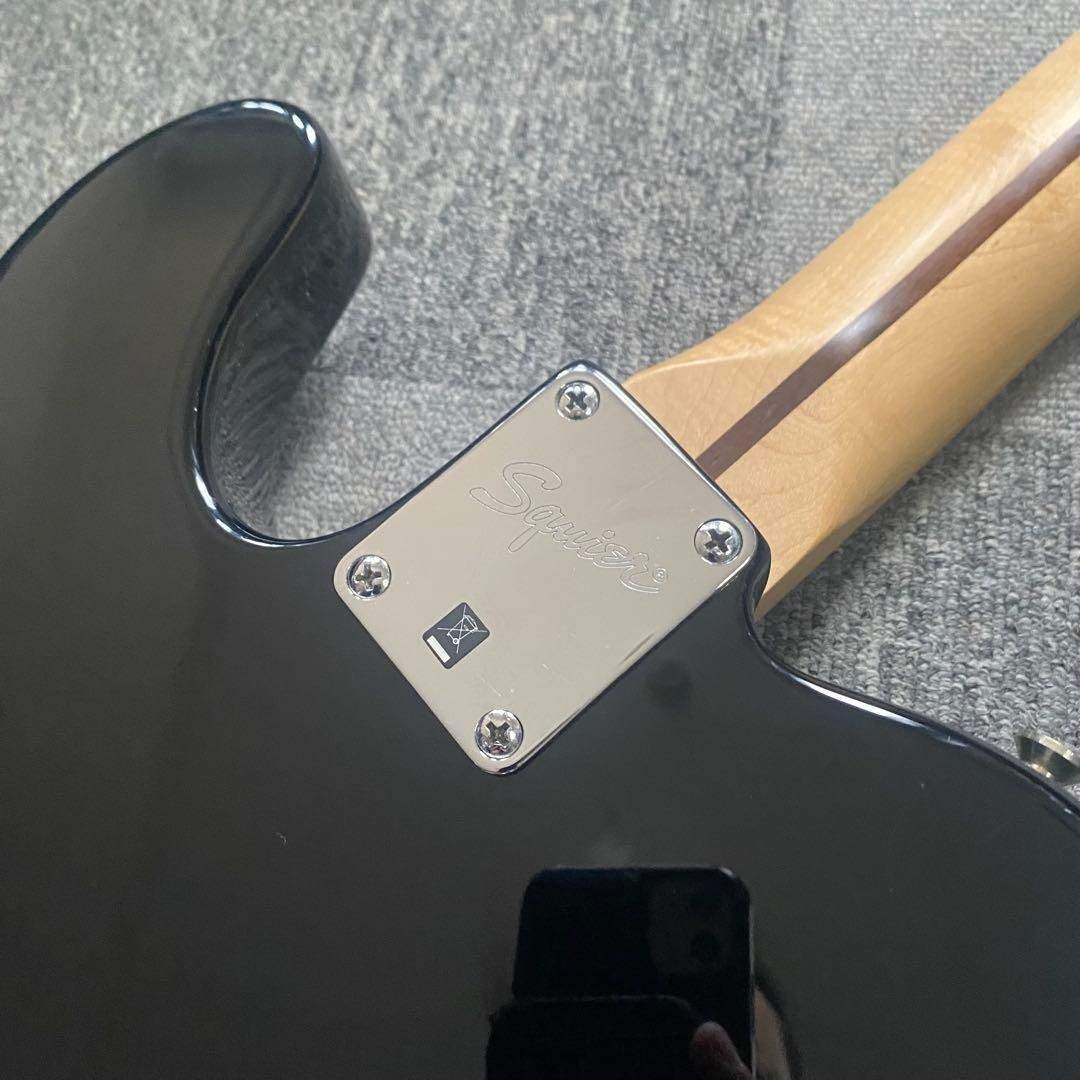 世界に1本！SAM41シグネチャー Squier Fender テレキャスター 世界に1