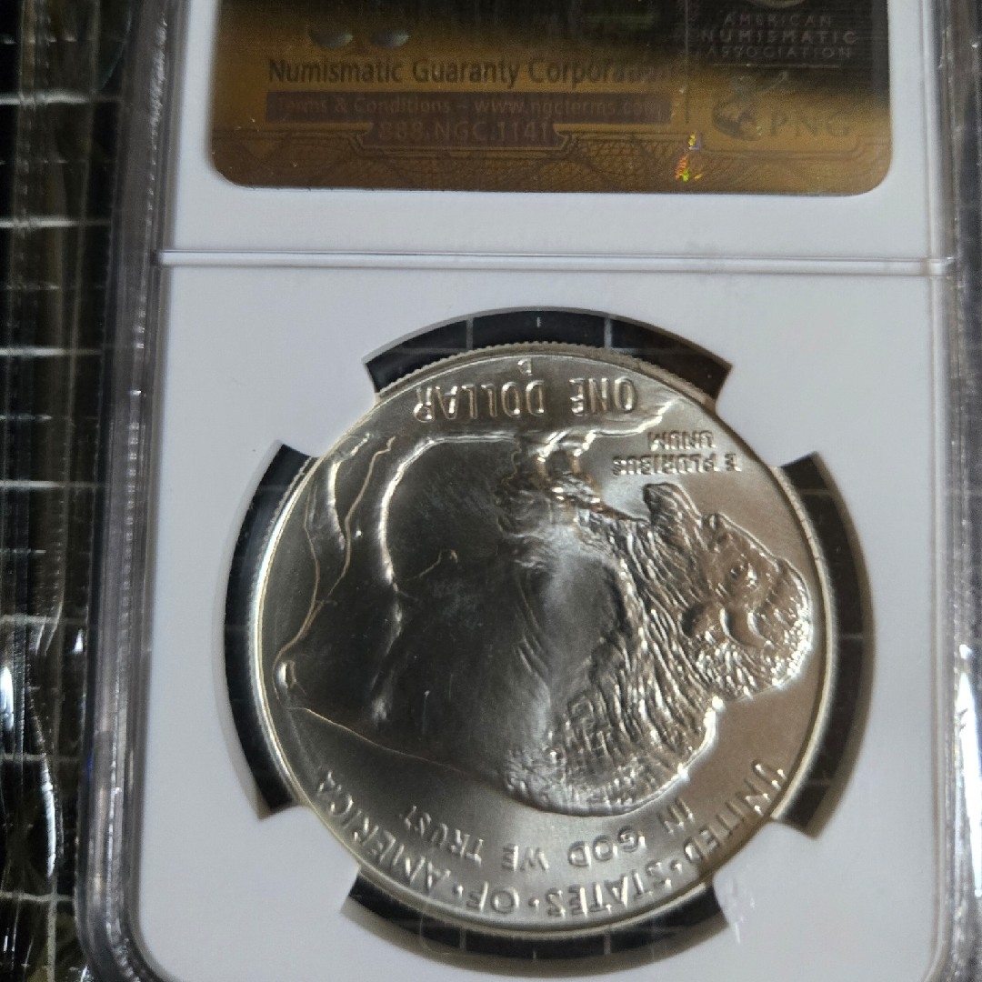 2001 D Buffalo $1 MS 69 バッファロー 銀貨 アメリカ