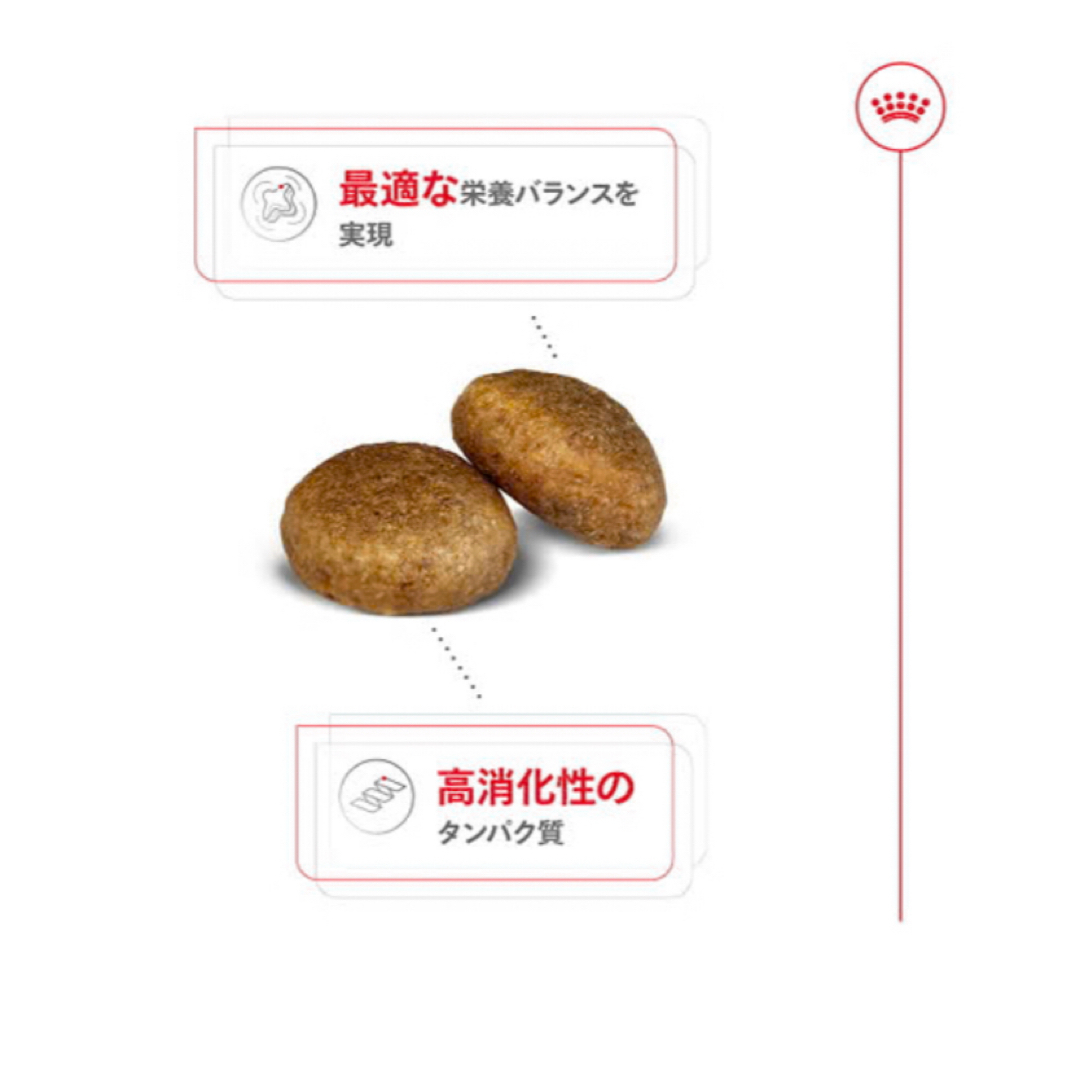 大型犬用 ドライフード 16kg 新品未開封 ROYAL CANAN