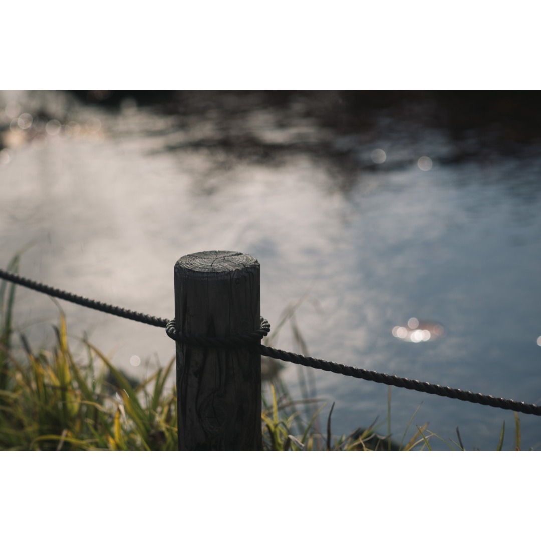 ライカの初の望遠！Leica Telyt 200mm F4.5 オールドレンズ