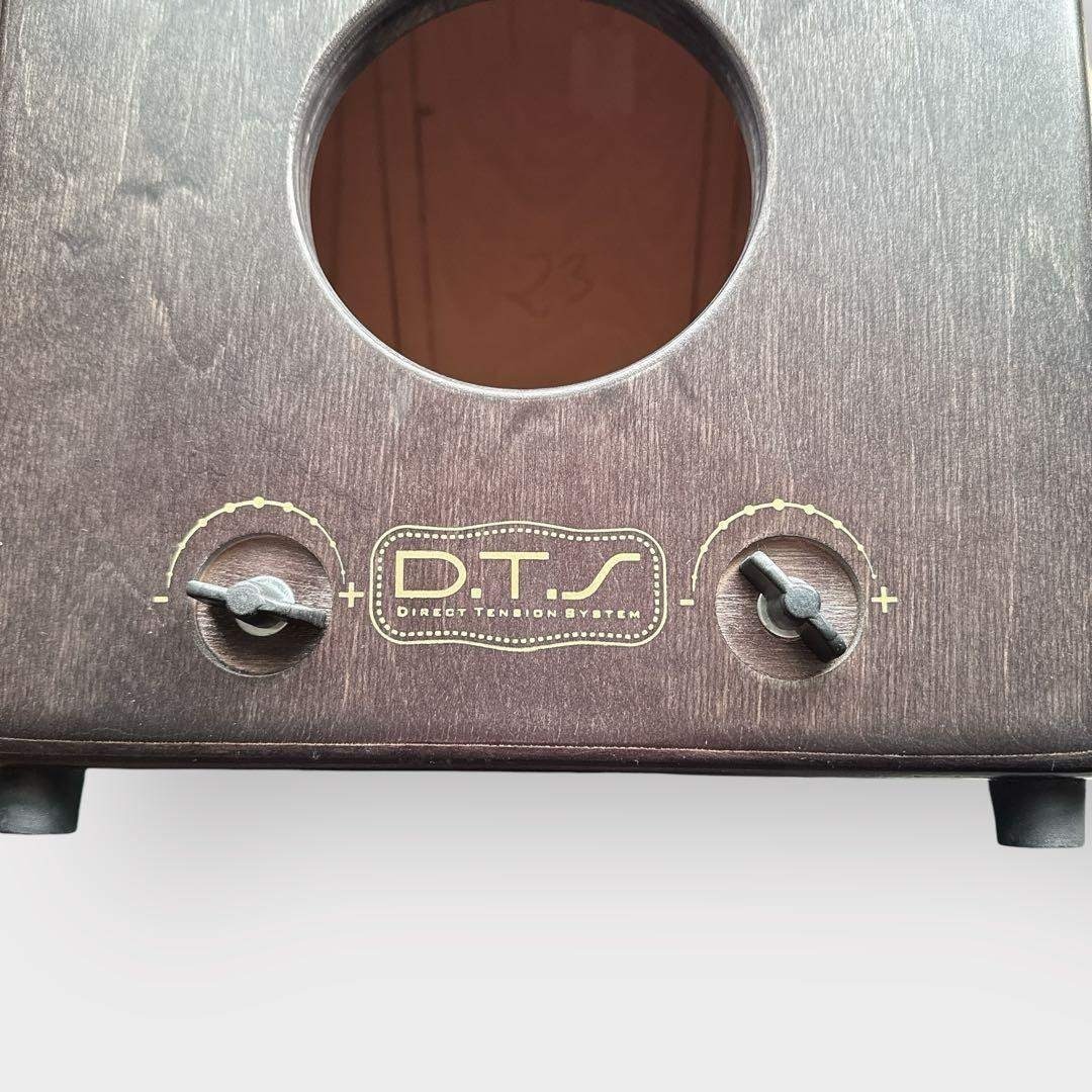 カホン J.Leiva ALMA CLASSE スペイン製 ケース付き