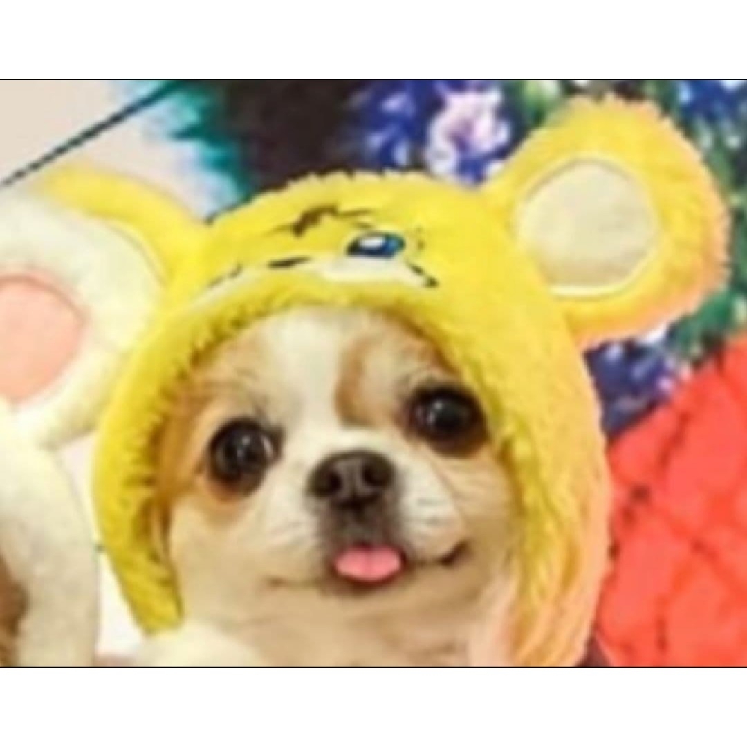 J＆Kanimals はるちゃん バレンタイン限定パーカー 虎パーカー SS