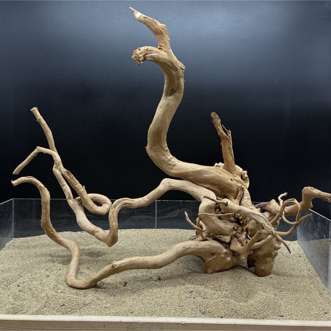 MDW-7000 特大ブランチウッド 流木 枝流木 アクアリウム