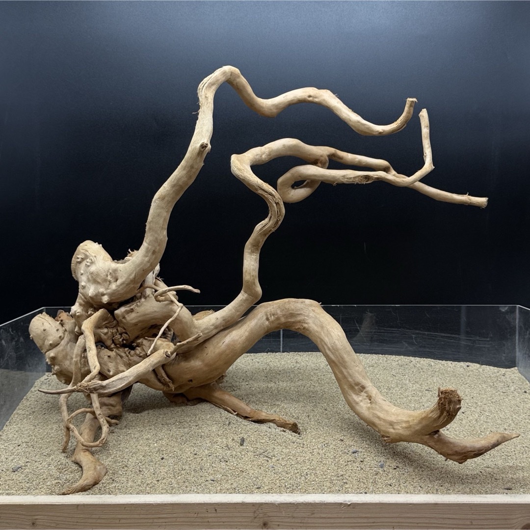 MDW-7000 特大ブランチウッド 流木 枝流木 アクアリウム