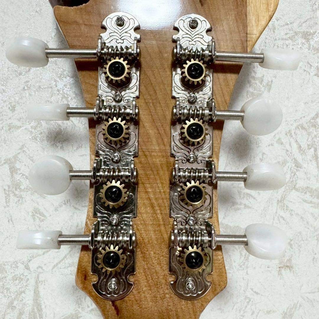 希少美品』Mylowe フラットマンドリン ハードケース付き