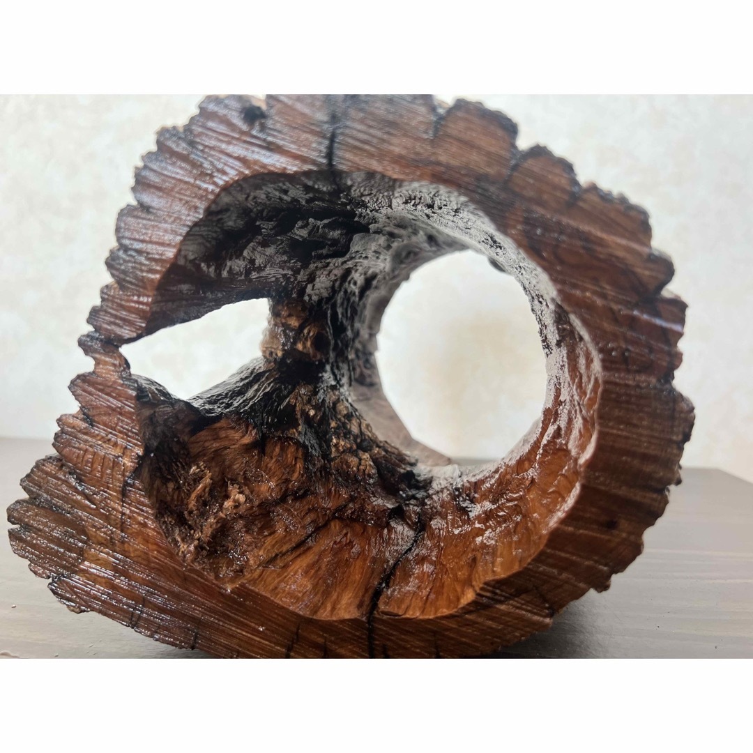 HX-008 流木 空洞 爬虫類 アクアリウム アクアテラリウム 即沈水