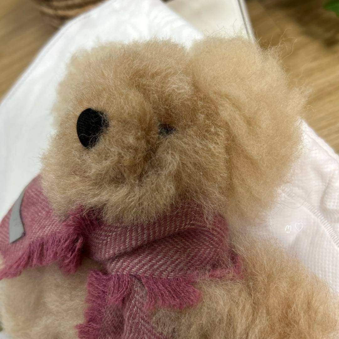 新品alpakaアルパカ テディベアSAMI 20cm マフラー くまぬいぐるみ