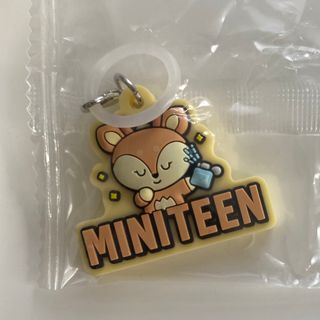 SEVENTEEN - MINITEEN チェチェリー エスクプスの通販 by ゆたんぽ's