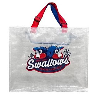 オリックス・バファローズ - 近鉄バファローズ 2001年優勝記念乗車券の