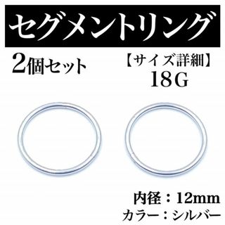 hide着用モデル ネクロマンス タイニースカル2連ピアス 廃盤の通販 by