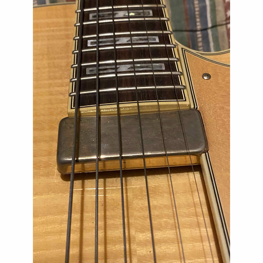 Ibanez - Ibanez(イバニーズ)AP-105F ホロウボディ/ジャズG/フルアコ