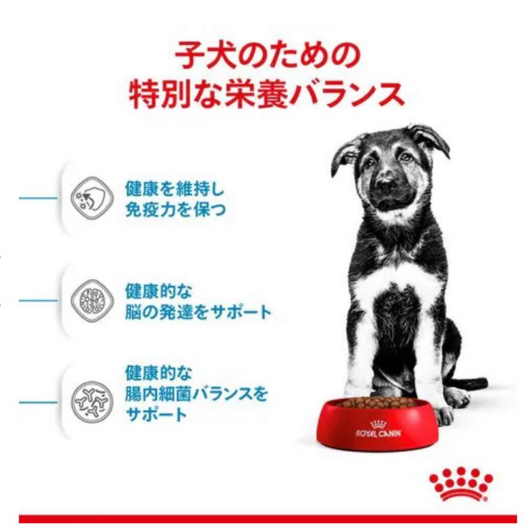 ロイヤルカナン マキシパピー 16kg 大型犬 子犬用※新品未開封の通販 by
